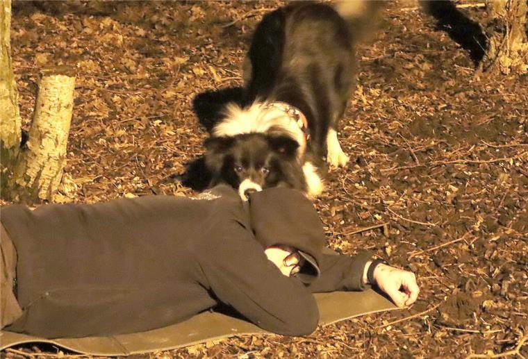 Mit ihrer feinen Nase helfen Hunde, wie hier nach einem Erdbeben, Menschen zu finden und zu retten.