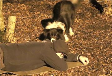 Mit ihrer feinen Nase helfen Hunde, wie hier nach einem Erdbeben, Menschen zu finden und zu retten.