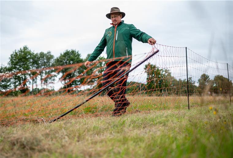 Mit immer höheren und sogar doppelten Zäunen sowie Herdenschutzhunden schützen sich Schafhalter in Niedersachsen gegen Angriffe von Wölfen auf ihre Schafe.