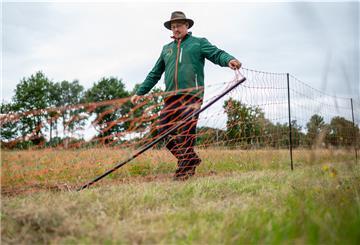 Mit immer höheren und sogar doppelten Zäunen sowie Herdenschutzhunden schützen sich Schafhalter in Niedersachsen gegen Angriffe von Wölfen auf ihre Schafe.