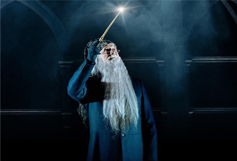 Hans Neblung spielt endlich den Dumbledore Hans Neblung