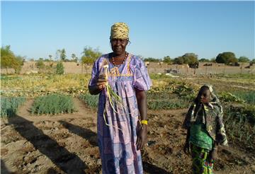 Mit Nordenhamer Spendengeld wird ein landwirtschaftliches Projekt in der Region Mopti in Mali unterstützt.