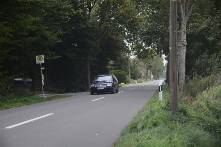 Mit Tempo 100 dürfen die Autofahrer derzeit noch auf der Kreisstraße 71 bei Cappel (Wurster Nordseeküste) fahren. Das soll sich ändern.