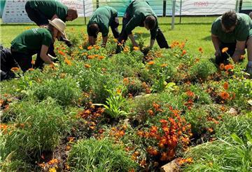 Mitarbeitende eines Gartenbaubetriebs pflanzen sommerliche Gewächse wie Goldmarie, Mädchenauge und Ringelblumen.