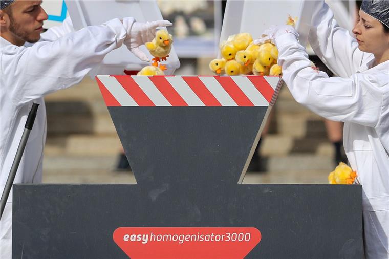 Mitglieder der Tierschutzorganisation Peta protestieren vor der Urteilsverkündung mit einer symbolischen Aktion zum Kükenschreddern vor dem Bundesverwaltungsgericht.