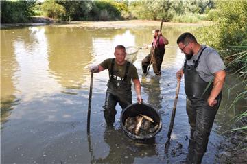 Mitglieder des Butjadinger Fischereivereins haben am Donnerstagnachmittag tote Fische aus einem Teich im Seenpark III in Nordenham geborgen.