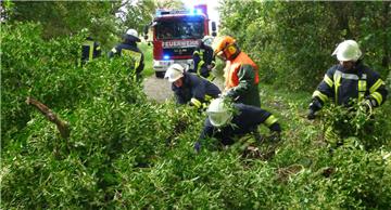 Mitte September wehte Sturmtief „Sebastian“ auch über die Gemeinde hinweg – und riss am Mitteldeich diesen Baum aus dem Erdreich. Die Stollhammer Feuerwehrleute holten den grünen Riesen von der Fahrbahn.