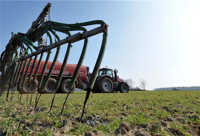 Cuxland-Bauern sorgen nicht für Gülle-Problem Moderne Güllewagen wie hier auf dem Foto versprühen den Dünger nicht in die Luft, sondern bringen ihn direkt in den Boden ein.