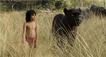 Mogli wird auch in der Dschungelbuch-Neuverfilmung „The Jungle Book“ vom Panther Baghira unterstützt. 