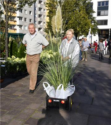 Monika und Michael Hödt haben beim Geestemünder Herbstmarkt Pampasgras gekauft.