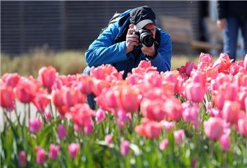 Motive aus der Natur sind bei dem Fotowettbewerb gefragt. Aber es dürfen auch andere Motive sein.