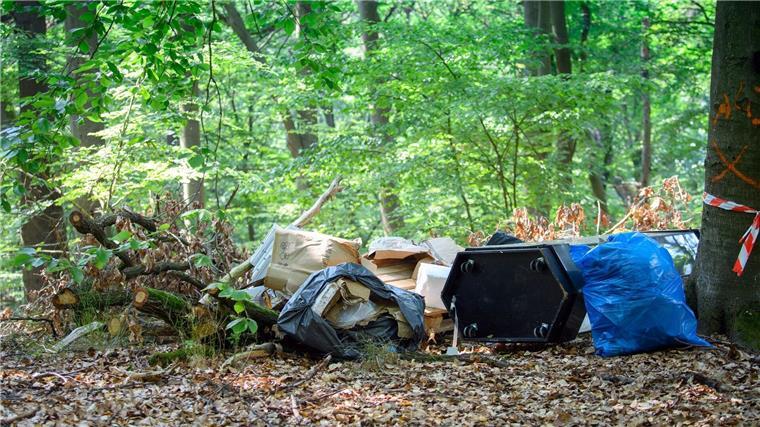 Illegale Müllkippen im Wald: Problem der exotischen Pflanzen Müll liegt neben eienr Straße im Wald.