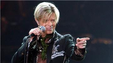 Musiker, Schauspieler, Innovator, Ikone: David Bowie.