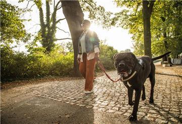 Eine Frau geht mit ihrem Hund in einem Park spazieren.  Muss ich meinen Hund immer anleinen? Braucht mein Hund in der Bahn ein eigenes Ticket? Ist eine Haftpflichtversicherung Pflicht? Wir haben die Antworten auf die wichtigsten Fragen.