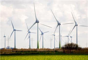 Zahlreiche Windkraftanlagen stehen auf Feldern 