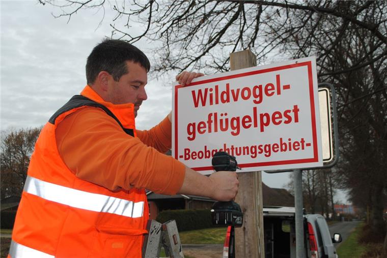 Nach dem Fund eines infizierten Wildvogels in Bremerhaven hat der Kreis Sperr- und Beobachtungsgebiete eingerichtet. Die Gemeinden haben gestern an den Straßen Informationsschilder angebracht. Hendrik Twarloh vom Bauhof der Gemeinde Hagen (Foto) war hier in der Ortschaft Wittstedt im Einsatz.