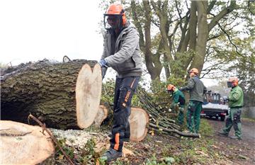 Nach dem Sturmtief "Herwart" sind Mitarbeiter des Gartenbauamtes mit den Aufräumarbeiten in Bremerhaven beschäftigt.