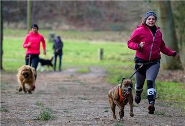 Zwei Frauen laufen mit ihren Hunden durch einen Park.