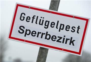 Nach einem Geflügelpest-Ausbruch in der Gemeinde Wurster Nordseeküste wurde eine Sperrzone eingerichtet.