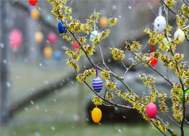 Nach kalten Osterfeiertage mit Schneeregen soll bald der Frühling kommen, sagen die Meteorologen.