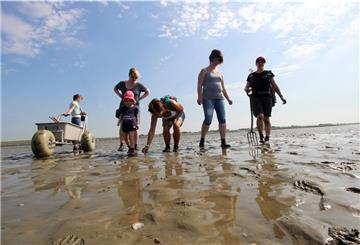 Personen laufen durch das Wattenmeer.