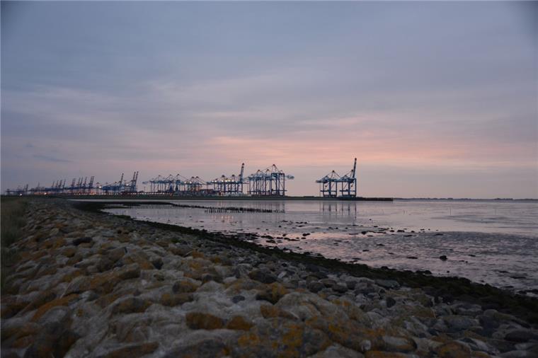 Nach Wattenmeer kommt Wattenland: Die Nationalparkverwaltung möchte die Flächen hinter dem Deich in den Fokus rücken.