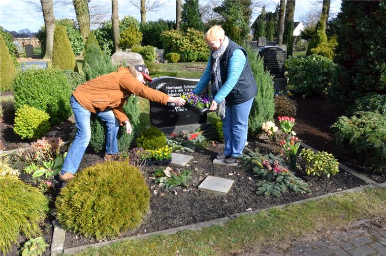 Dieb nimmt den Blumenschmuck vom Grab der Mutter mit Nachdem ihnen zwei Blumenkörbe von der Grabstelle ihrer Mutter auf dem Friedhof in Schiffdorf gestohlen wurden, haben Ute Neumann (rechts) und ihr Mann Karl-Heinz nun Stiefmütterchen gepflanzt.