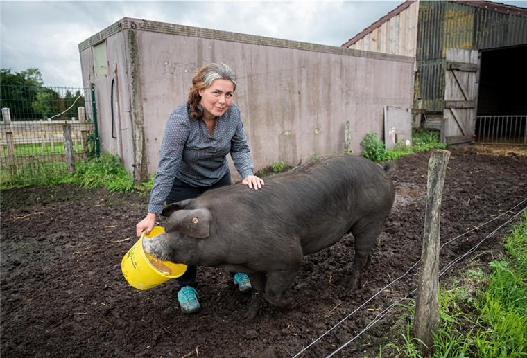 Nadja Poppen, Besitzerin des Bioland Hofs Sonnenschein, füttert ihr bei Instagram bekannt gewordenes Angler Sattelschwein Bobby.