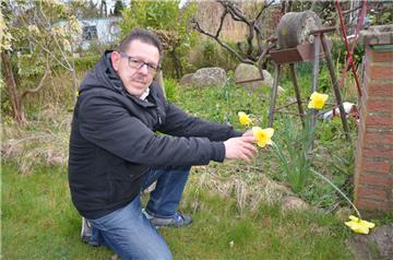 Narzissen sehen nicht nur hübsch aus. Sie werden von Insekten geliebt, weil sie prima erkrabbelt werden können, weiß Oliver Henrikson, Bezirksberater der Gartenfreunde. 