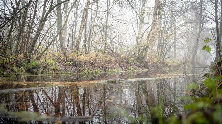 Klimaschutz durch nasse Moore – Koordinierungsstelle startet Nasse Moorböden speichern klimaschädliche Treibhausgase, trockene Moorböden geben sie frei. Die Landesregierung sucht daher Wege, um Moorböden möglichst klimaschonend zu nutzen. (Archivbild)