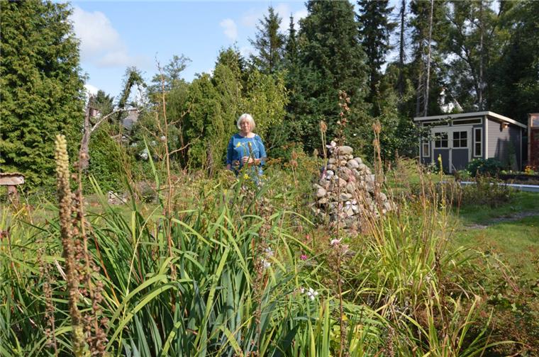 Naturnähe am Asternweg in Langen: Hilke Sens bestückte ihren Garten unter anderem mit Wildblumen und sorgte so für einheimische Vielfalt, die Insekten reichlich Nahrung bietet.