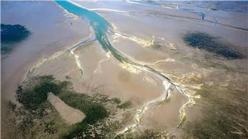 Naturschützer wünschen sich unter anderem große, fischereifreie Zonen in den Wattenmeer-Nationalparken und anderen Meeresschutzgebieten. (Archivbild)