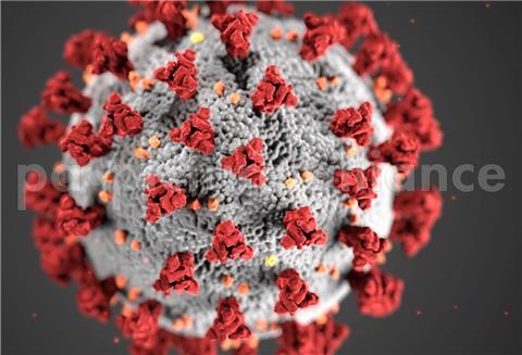 Diese Illustration, die in den Centers for Disease Control and Prevention (CDC) erstellt wurde, zeigt die ultrastrukturelle Morphologie, die Coronaviren aufweisen.