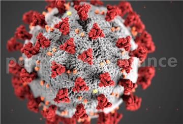 Diese Illustration, die in den Centers for Disease Control and Prevention (CDC) erstellt wurde, zeigt die ultrastrukturelle Morphologie, die Coronaviren aufweisen.