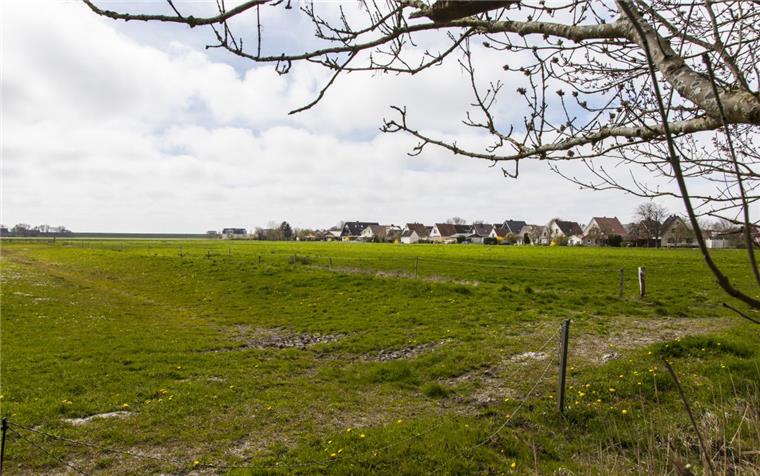 Neues Baugebiet in Wremen: Auf einer  landwirtschaftlichen Fläche südlich der Strandstraße in Wremen könnten demnächst Ein- und Mehrfamilienhäuser entstehen.
