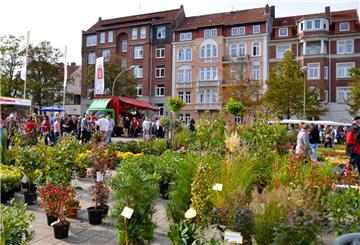 Pflanzen auf dem Geestemünder Herbstfest.