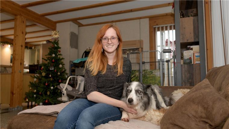 Hundepension