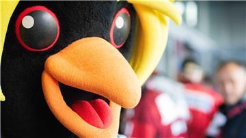 Nicht nur Maskottchen „Kralli“ kann weiterhin zuversichtlich sein. Die Fischtown Pinguins haben immer noch gute Chancen, deutscher Meister zu werden.