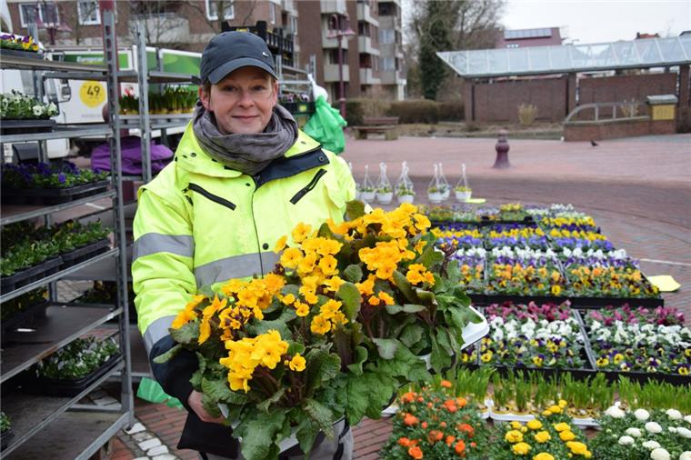 Nicht vom letzten Frost abschrecken lassen: Einige Frühlingsblumen wie die Schlüsselblume können bereits in Kübel gepflanzt werden, sagt Cornelia Neumann von der Gärtnerei Pargmann.