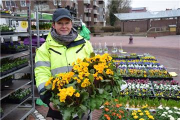 Nicht vom letzten Frost abschrecken lassen: Einige Frühlingsblumen wie die Schlüsselblume können bereits in Kübel gepflanzt werden, sagt Cornelia Neumann von der Gärtnerei Pargmann.