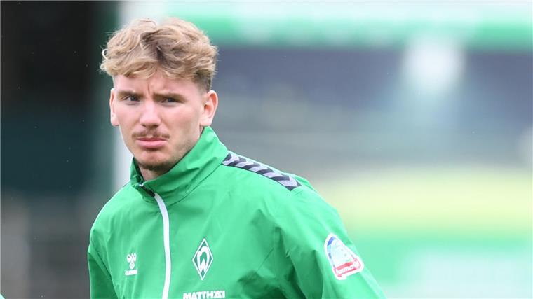 Nächster Schritt: Nick Woltemade will vom Talent zum Bundesligaspieler aufsteigen
