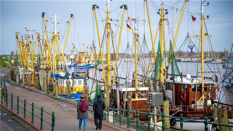 Küstenfischer beraten in Ostfriesland Niedersachsens Küstenfischer hoffen nach wirtschaftlich schwierigen Jahren auf eine Trendumkehr. (Archivbild)