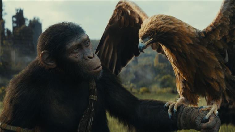 Der neue „Planet der Affen“ - Die Reise geht weiter Noa (gesprochen von Owen Teague) in einer Szene des Films „Planet der Affen: New Kingdom“