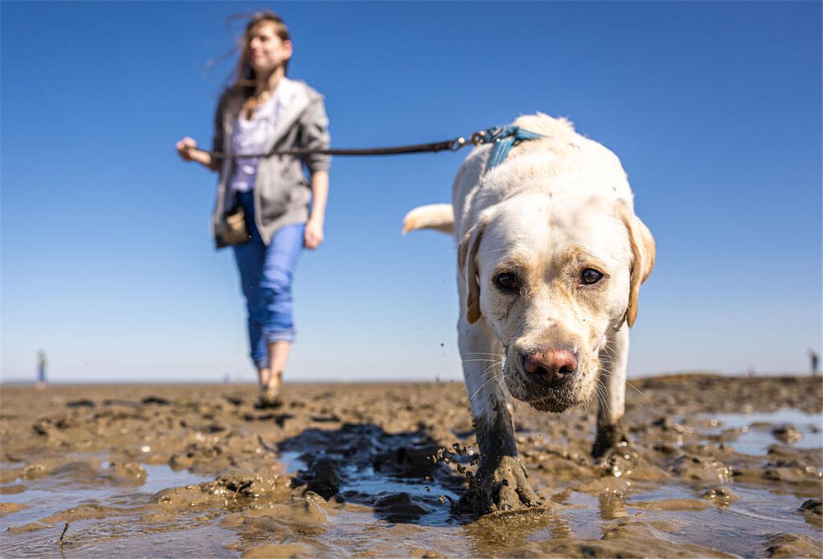 Frau mit Hund am Strand