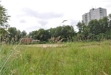Noch herrscht hier Wildnis. Auf dem freigeräumten Grundstück am Jägerhof soll das Haven-Hospiz gebaut werden.