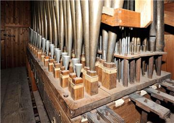 Noch ist die Arp Schnitger Orgel in der Cappeler Kirche schimmelfrei. Durch hohe Luftfeuchtigkeit und Staub könnte aber der gefürchtete Schimmelpilz auch in das Innere des kostbaren Instrumentes gelangen. 