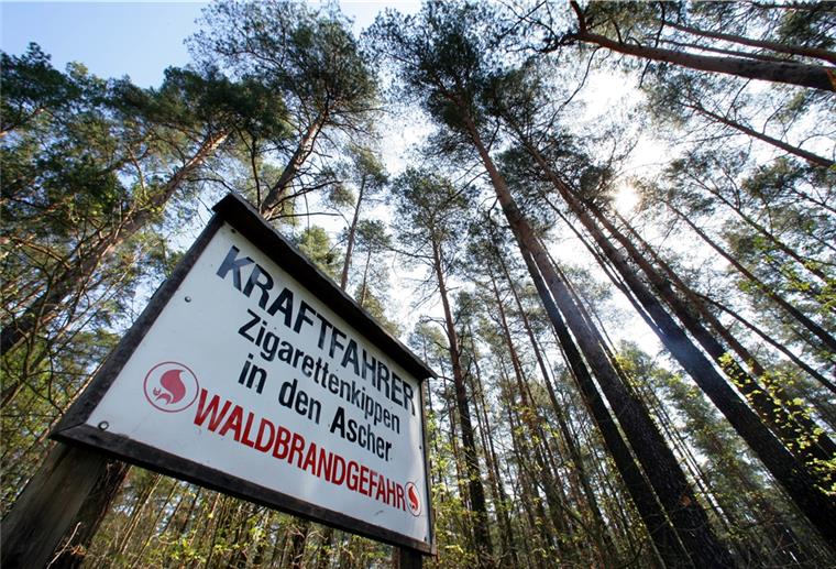 Vorsicht im Wald: Förster weist auf hohe Brandgefahr hin Nur keine Zigaretten wegwerfen: Der Wald ist knochentrocken. Auch im Cuxland.