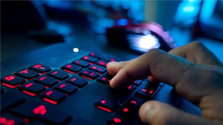 Internetkriminalität: Neues Online-Tool hilft Betrugsopfern