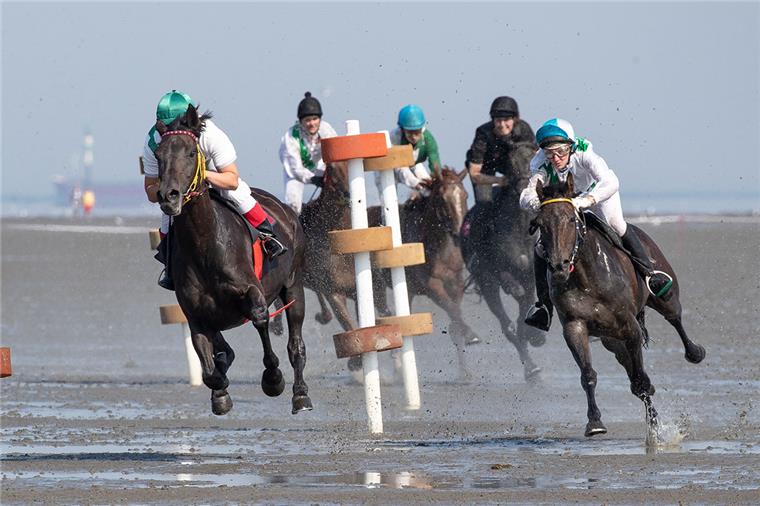 Bildergalerie: Das sind die besten Fotos vom Duhner Wattrennen Packenden Sport gab es beim Duhner Wattrennen in Cuxhaven zu sehen.