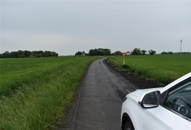 Ein Auto steht auf einem Grünstreifen. Das Parken auf Grünstreifen kann allerdings teuer werden. 